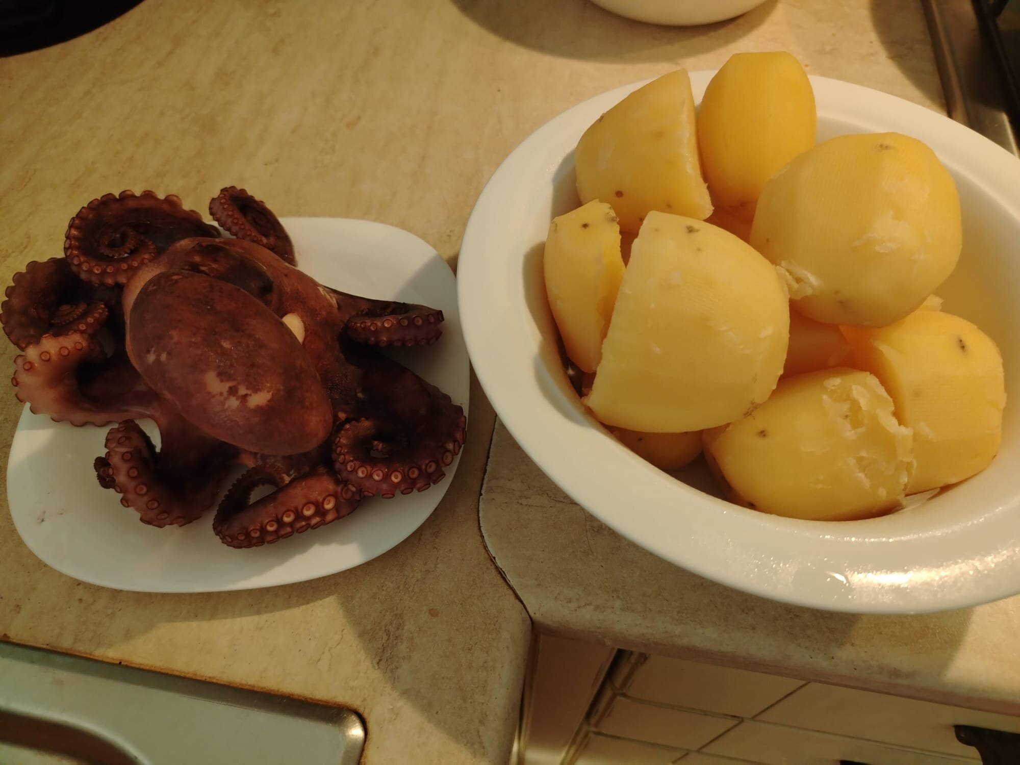pulpo-1.jpeg pulpo-1.jpeg