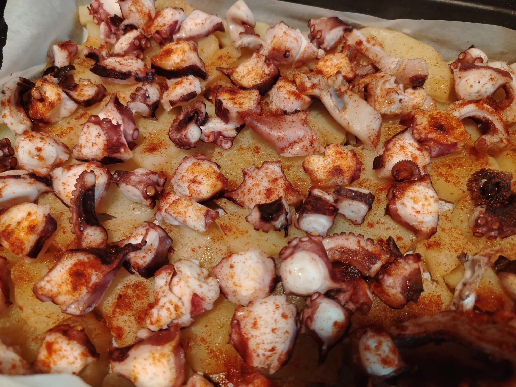pulpo-3.jpeg pulpo-3.jpeg
