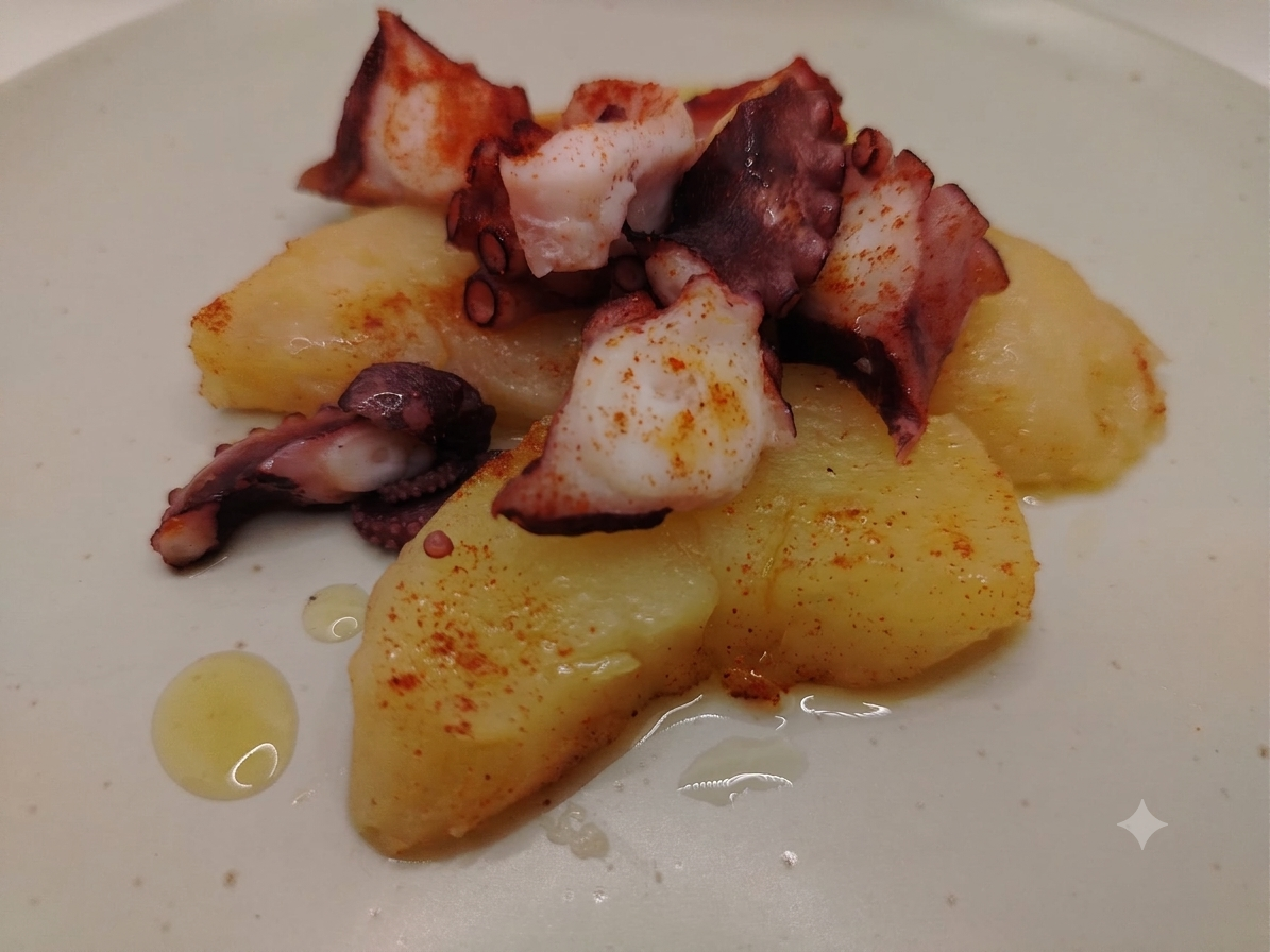 pulpo-5.png pulpo-5.png