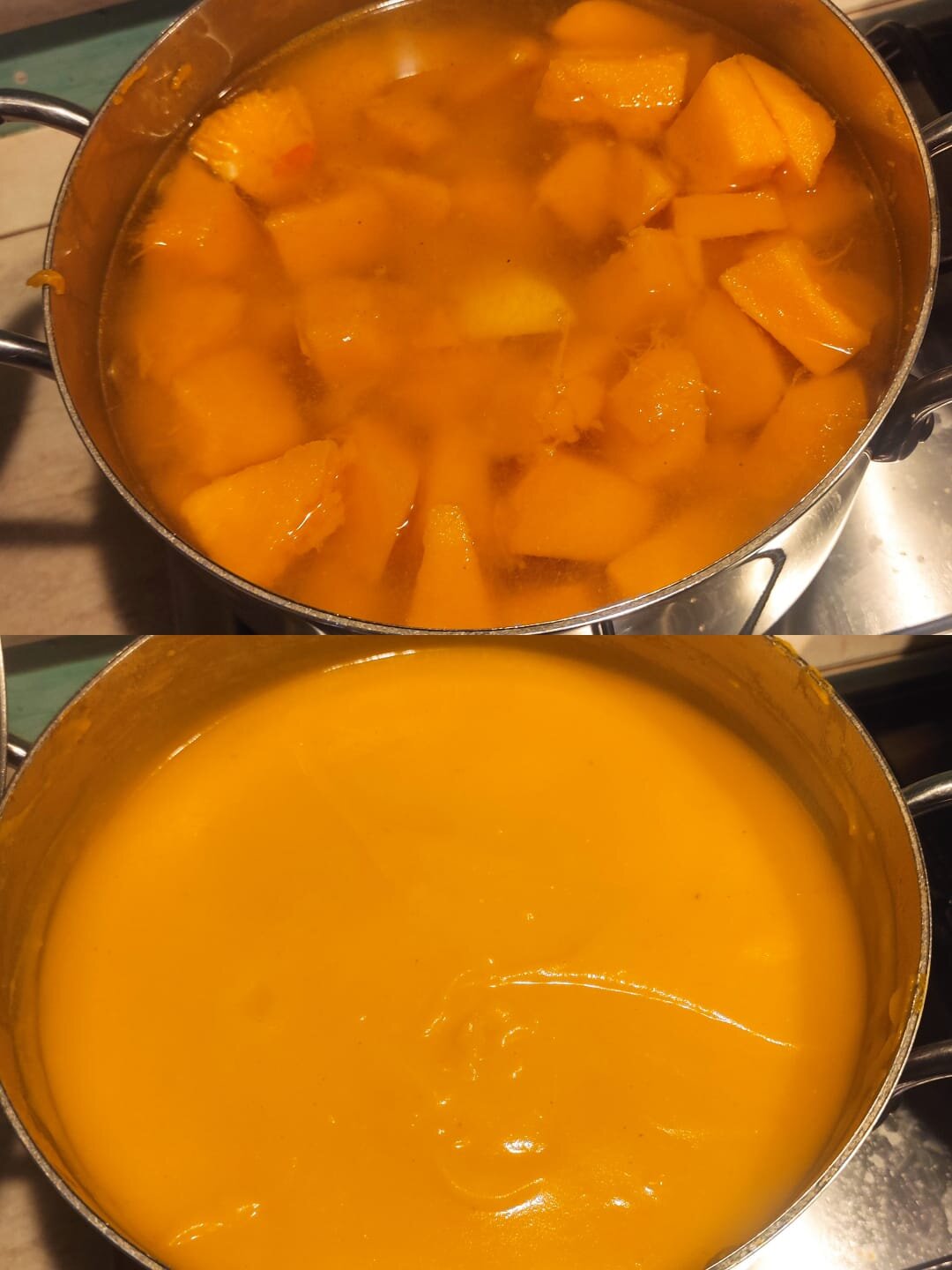 zucca-2.jpeg zucca-2.jpeg