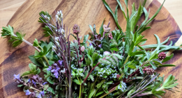 64b38e98-17e6-4a22-9ba2-73c53c67aa9c