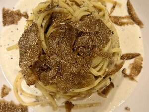 img_0844.jpeg