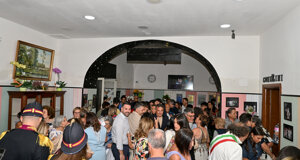 dsc_8239.jpeg dsc_8239.jpeg