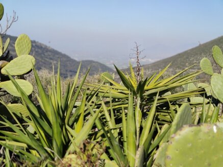 8014a80054ef31f93b5815746cbf19b337277065