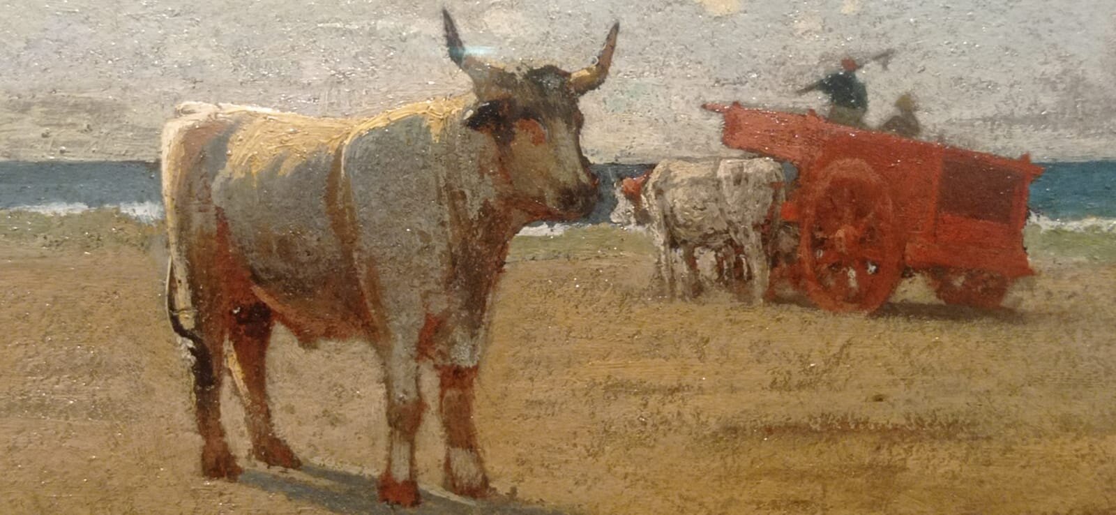 39e6344b-a06c-4d35-86d8-7919f138837a-1662495242.jpeg 39e6344b-a06c-4d35-86d8-7919f138837a-1662495242.jpeg