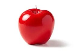 44d30d0d5d0b9410312f9100ee0c9a0d69a50ce1.jpeg 44d30d0d5d0b9410312f9100ee0c9a0d69a50ce1.jpeg