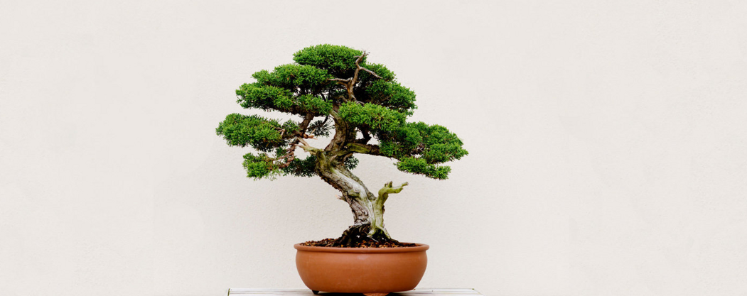 73358f7035cf07a115679774c07d713f54b95ffd