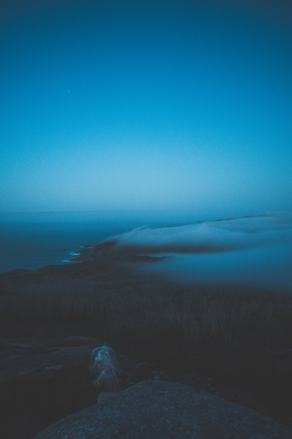 pagie-page-mlmn6vfdpdi-unsplash.jpeg