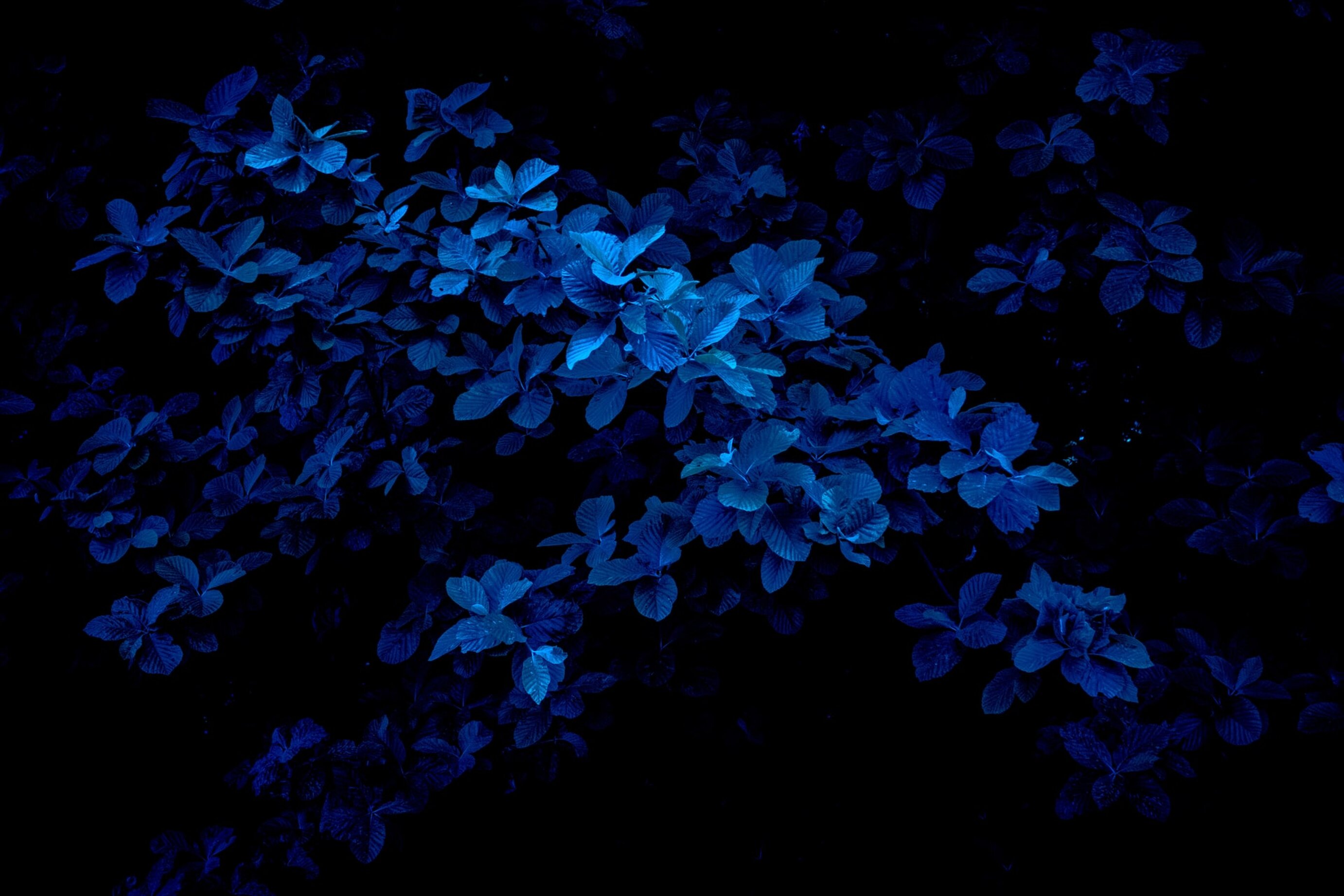 fabrizio-conti-kxvogatbfga-unsplash.jpeg