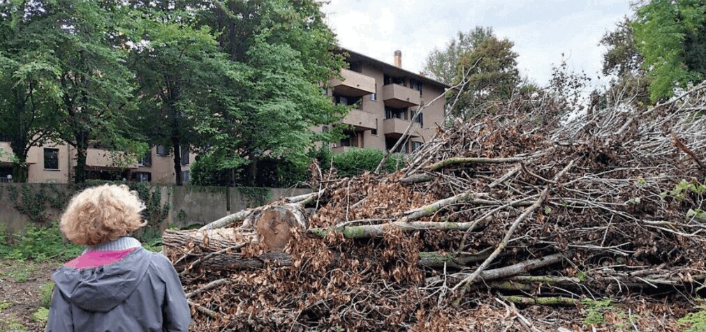 COSTRUIRE QUI O COSTRUIRE LA'? QUESTO' E' IL PROBLEMA...