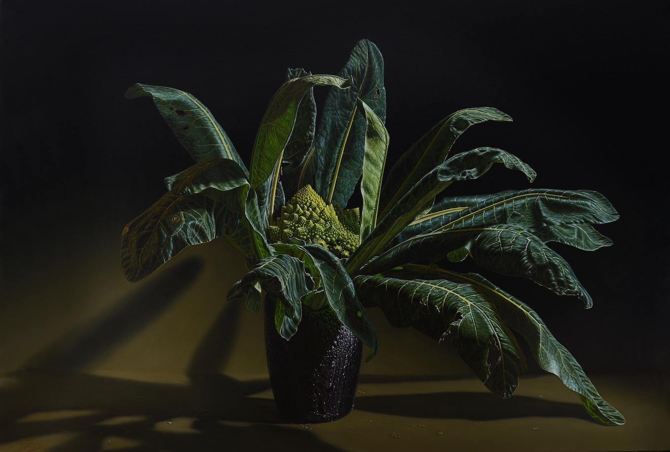 37fa5b47197665b3c3299679127fcbd298e371cd