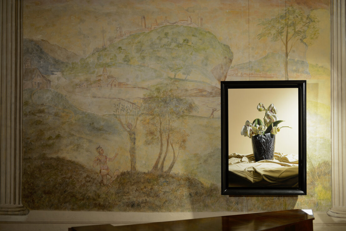 museo villa bassi orchidee.jpeg