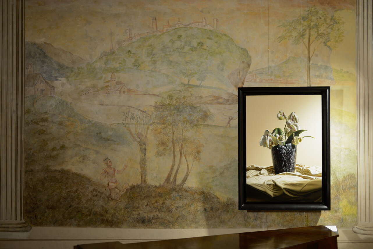 museo%20villa%20bassi%20orchidee.jpeg
