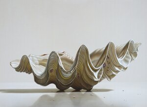 forse__24tridacnacuramathiolio%20su%20cartoncino21,5x15%20copia