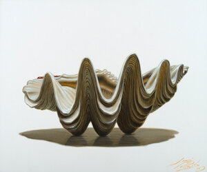 forse__24tridacnacuramathiolio%20su%20cartoncino21,5x15%20copia