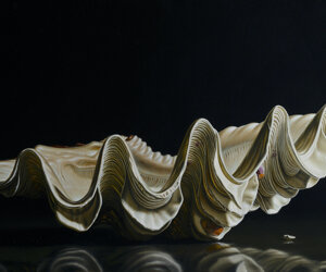 25tridacnathaaoliosucartoneartigianale33,5x25,5%20copia%202