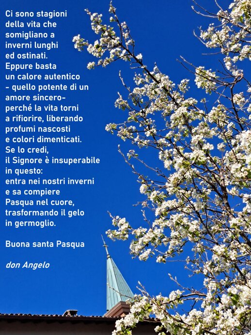 auguri di pasqua 2026.jpeg auguri di pasqua 2026.jpeg