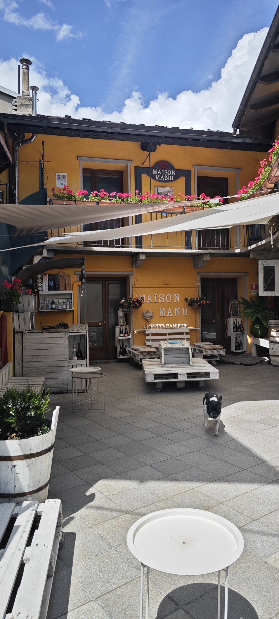 img_20250521_144647.jpeg img_20250521_144647.jpeg