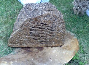 b9877b1417867a9480f7984954a3b2d81ef688b7