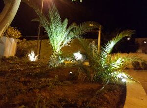 c537823f13011919abf92a2a424c64e1f74a4c4c