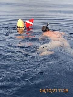 1eacf522-4ac0-4641-88de-82206246cd1c-926872156.jpg 1eacf522-4ac0-4641-88de-82206246cd1c-926872156.jpg