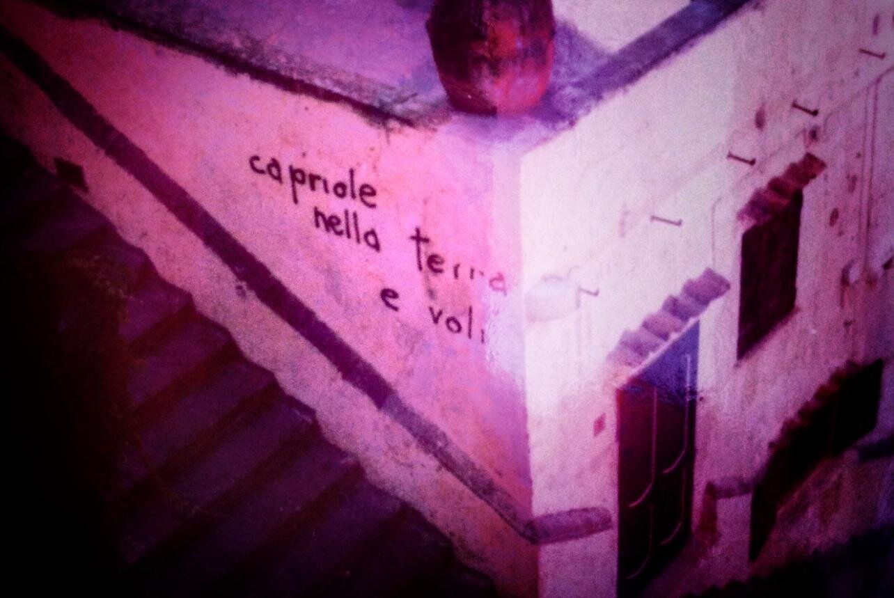 BEATA IGNORANZA BEATA IGNORANZA