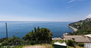 img_6154.jpeg