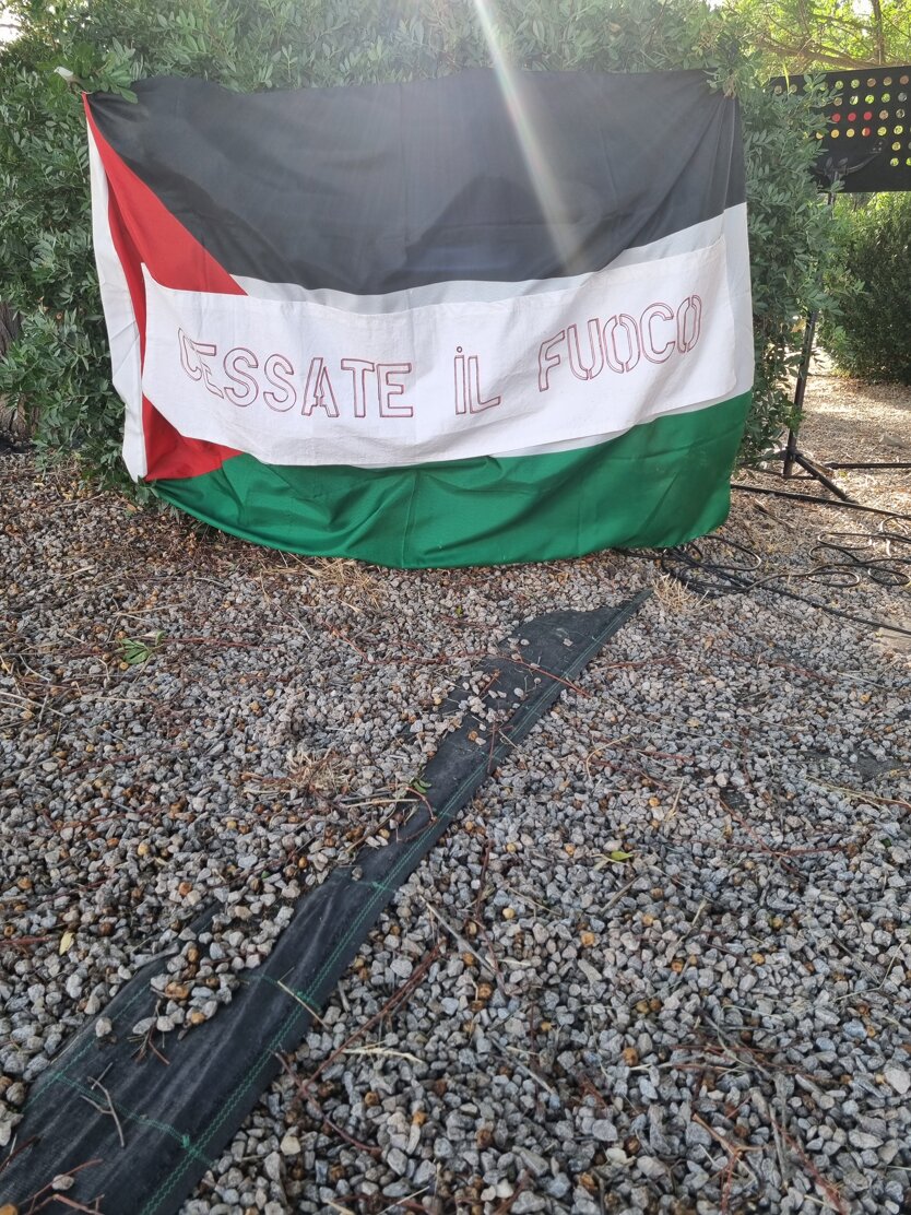 20240617_190539.jpeg 20240617_190539.jpeg