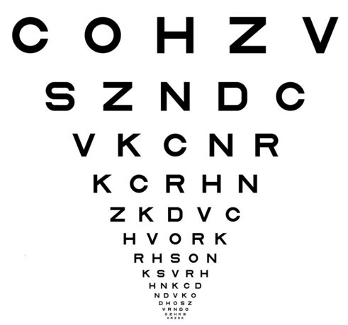 otto.jpeg