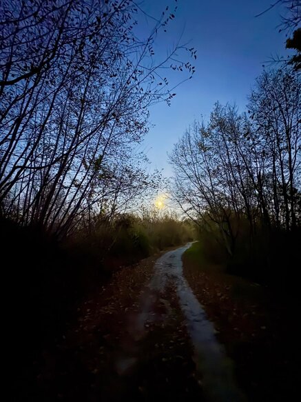 whatsapp image 2026-04-07 at 12.51.33.jpeg