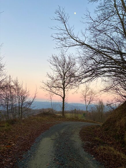 whatsapp image 2026-04-07 at 12.50.35.jpeg whatsapp image 2026-04-07 at 12.50.35.jpeg