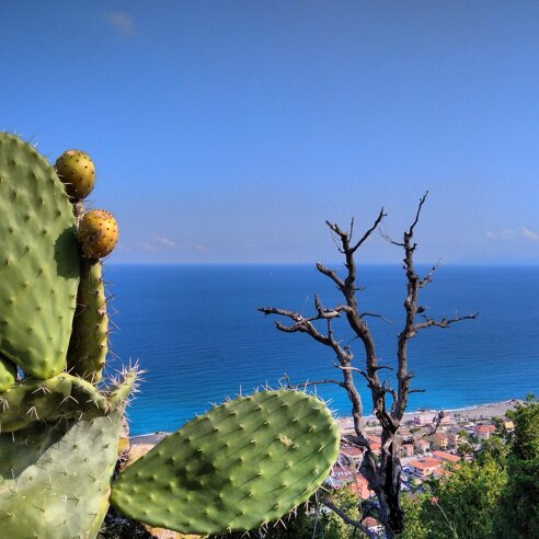 66e70fda07d8b9fa5e0fdd7df3eff7940f4cb0d6