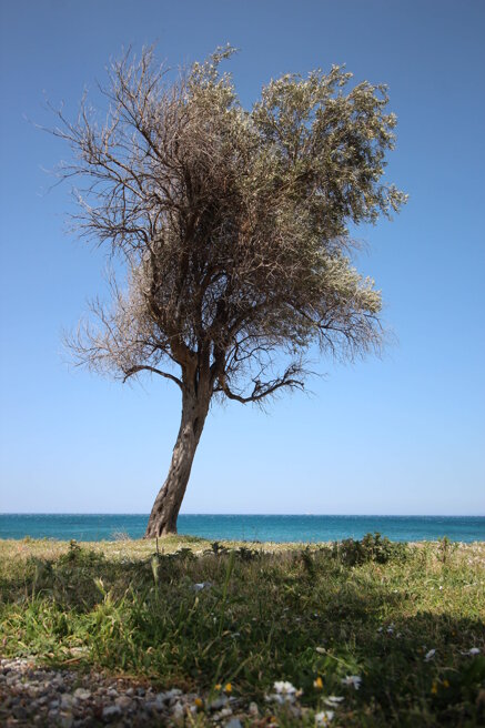 bcf128af78a25d30a6b662895711462ab8c47c31 bcf128af78a25d30a6b662895711462ab8c47c31