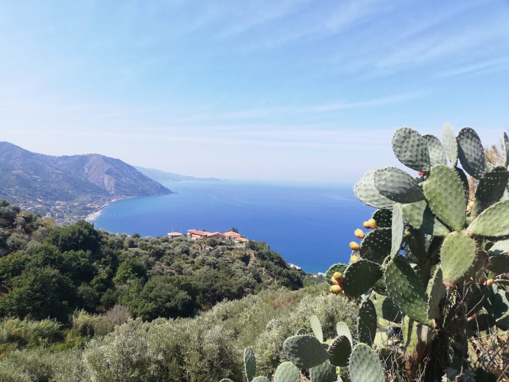 whatsapp image 2025-11-10 at 23.36.29.jpeg whatsapp image 2025-11-10 at 23.36.29.jpeg