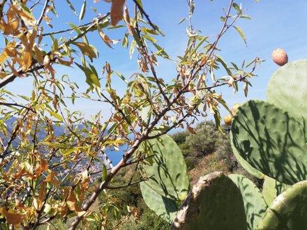 whatsapp image 2025-11-10 at 23.47.56 (1).jpeg