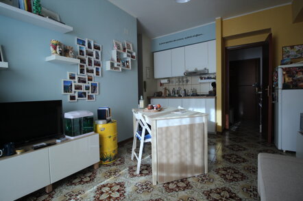 img_8459.jpeg img_8459.jpeg