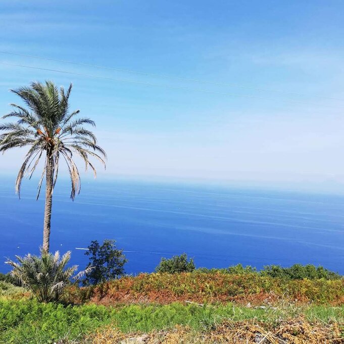 sito1.jpeg sito1.jpeg