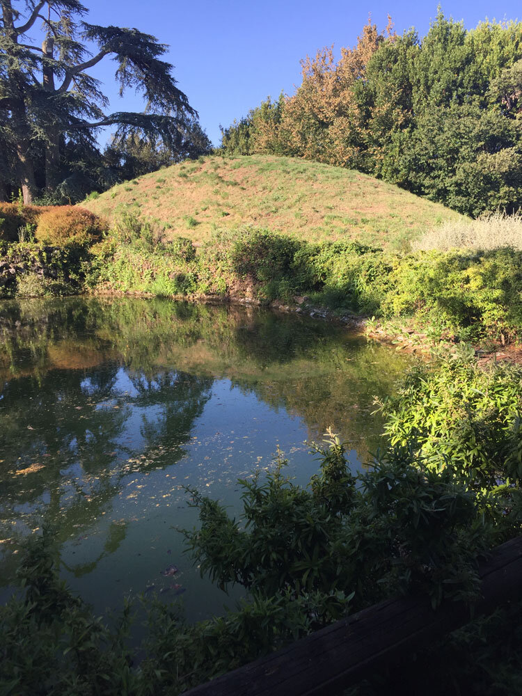 f58fcf0e-97b4-4419-8ea8-f487f6bd2445.jpg f58fcf0e-97b4-4419-8ea8-f487f6bd2445.jpg