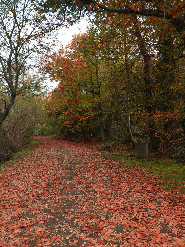 e02bccab-44c3-4946-83db-f3b455c6256e.png e02bccab-44c3-4946-83db-f3b455c6256e.png