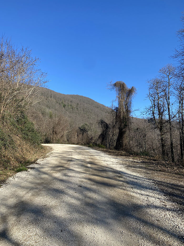 befaf927-8861-43b5-8517-d98a7c3cd4f9.jpg befaf927-8861-43b5-8517-d98a7c3cd4f9.jpg