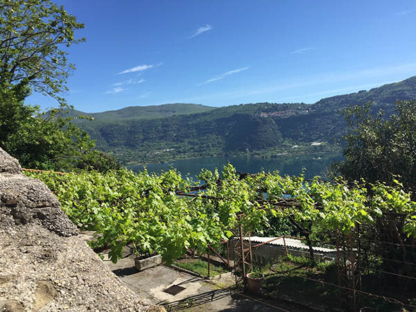 50f7315b-eda6-44cb-83a3-a25031c83924.jpg 50f7315b-eda6-44cb-83a3-a25031c83924.jpg