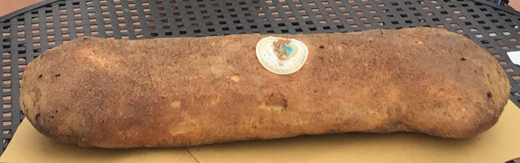 04b289c7-d99f-4b58-9c55-d4615a0d9984.jpg 04b289c7-d99f-4b58-9c55-d4615a0d9984.jpg