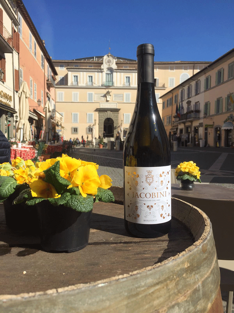 8656b929-09ef-4127-989c-01fb14a995b2.png 8656b929-09ef-4127-989c-01fb14a995b2.png