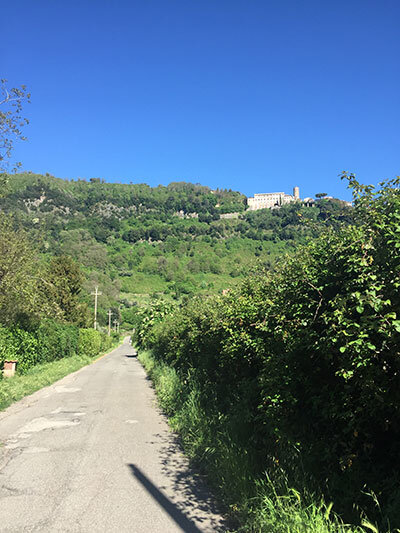 ecef0cd2-75ff-4627-9403-bd838110849c.jpg ecef0cd2-75ff-4627-9403-bd838110849c.jpg