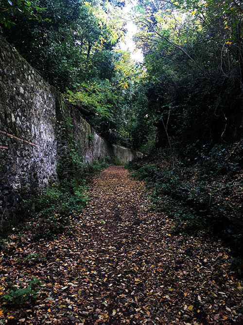 501-trail-villa-falconieri-wall.jpeg