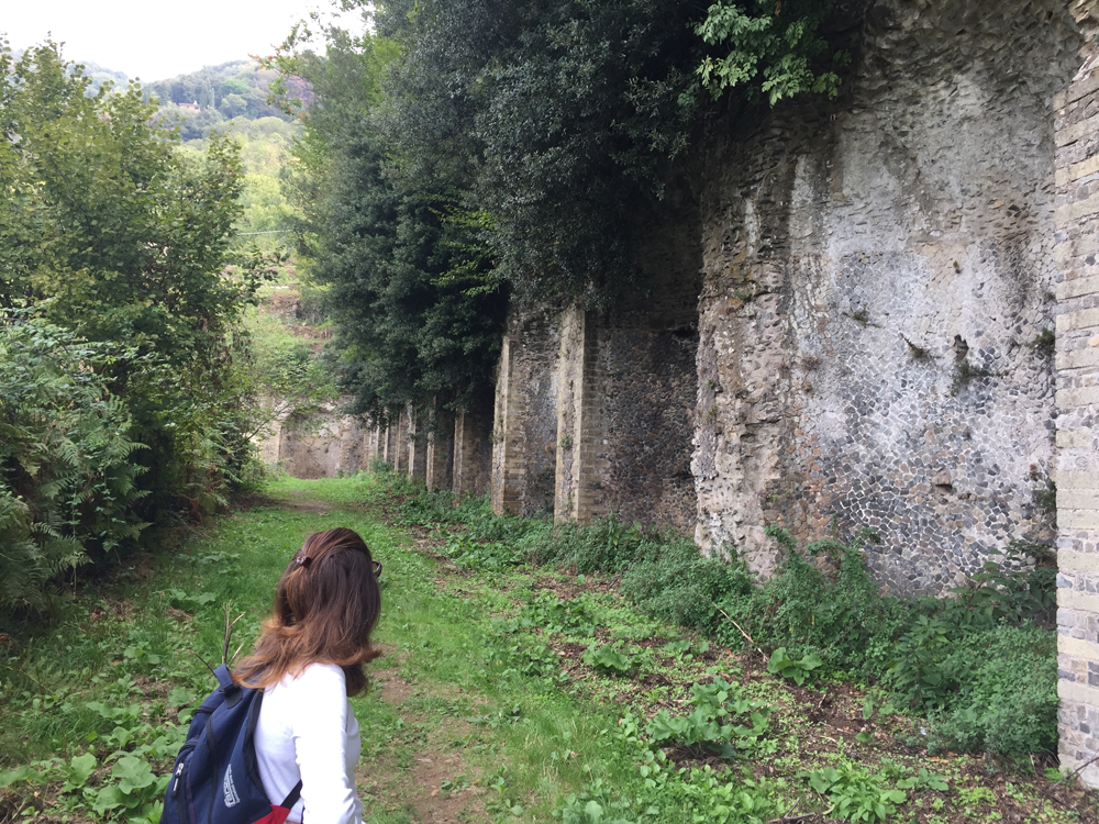 919b49b7-ceb1-42e0-a436-80d2ab0b3159.png 919b49b7-ceb1-42e0-a436-80d2ab0b3159.png