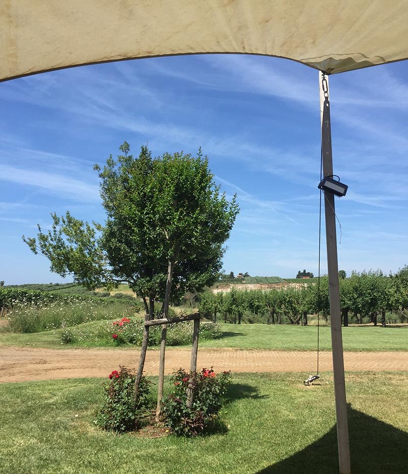 2afe3e80-ef1d-476d-a0fc-dd160842e47d.jpg 2afe3e80-ef1d-476d-a0fc-dd160842e47d.jpg