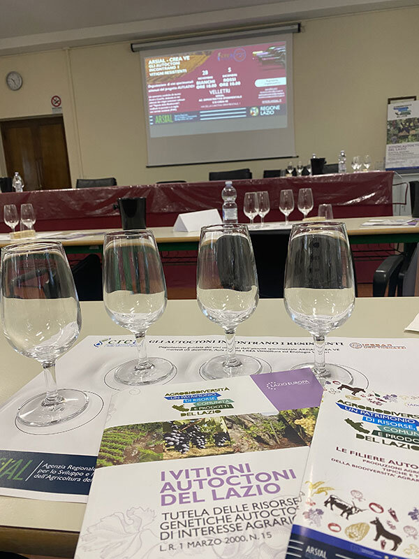 d65a48a4-d332-4bcb-ab4c-a1c6ecd8ffc6.jpg d65a48a4-d332-4bcb-ab4c-a1c6ecd8ffc6.jpg