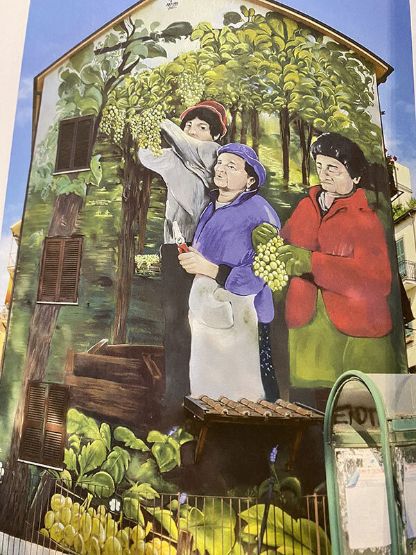 le-femmine-della-vigna-colonna.jpeg