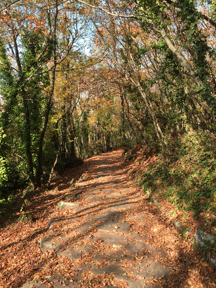 441bee7d-b995-40e0-b4f4-09866240d293.png 441bee7d-b995-40e0-b4f4-09866240d293.png